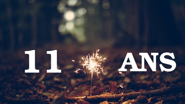 émission spécial anniversaire de odin et de la radio 11 ans de lookfm 